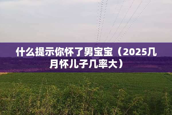 什么提示你怀了男宝宝（2025几月怀儿子几率大）