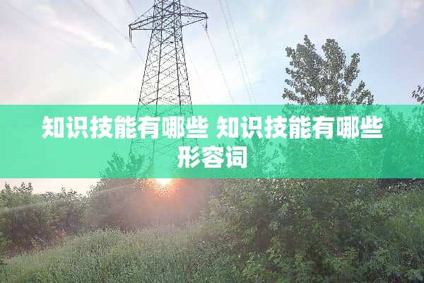 知识技能有哪些 知识技能有哪些形容词