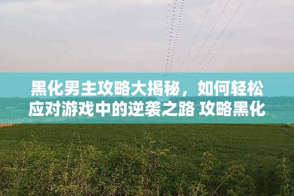 黑化男主攻略大揭秘，如何轻松应对游戏中的逆袭之路 攻略黑化男主