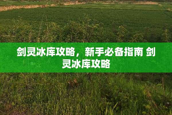 剑灵冰库攻略，新手必备指南 剑灵冰库攻略