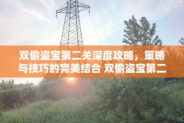 双偷盗宝第二关深度攻略，策略与技巧的完美结合 双偷盗宝第二关攻略