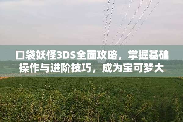 口袋妖怪3DS全面攻略，掌握基础操作与进阶技巧，成为宝可梦大师 口袋妖怪3ds攻略