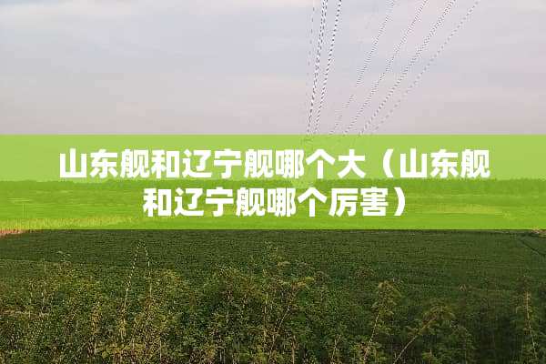 山东舰和辽宁舰哪个大（山东舰和辽宁舰哪个厉害）