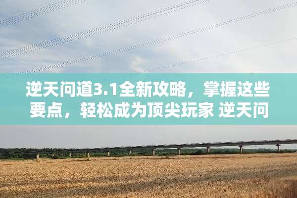 逆天问道3.1全新攻略，掌握这些要点，轻松成为顶尖玩家 逆天问道3.1攻略