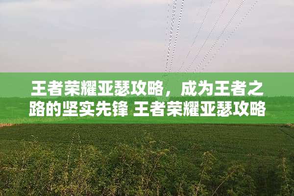 王者荣耀亚瑟攻略，成为王者之路的坚实先锋 王者荣耀亚瑟攻略