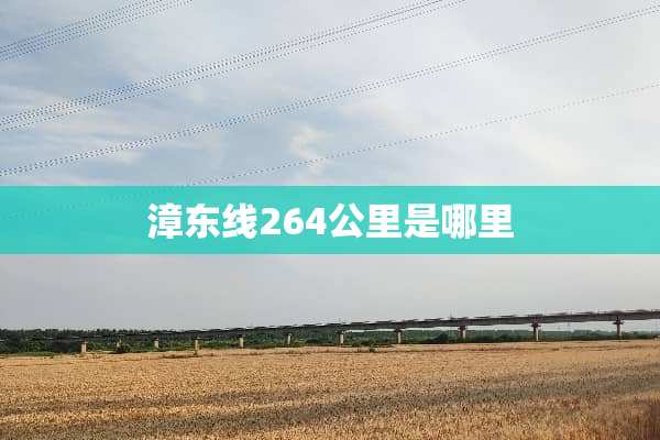漳东线264公里是哪里