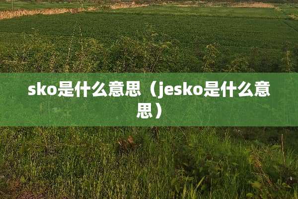 sko是什么意思（jesko是什么意思）
