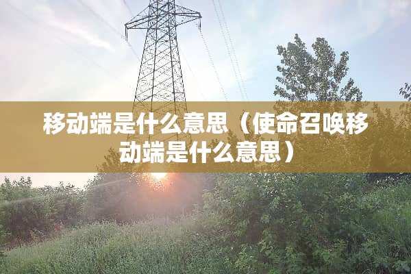移动端是什么意思（使命召唤移动端是什么意思）