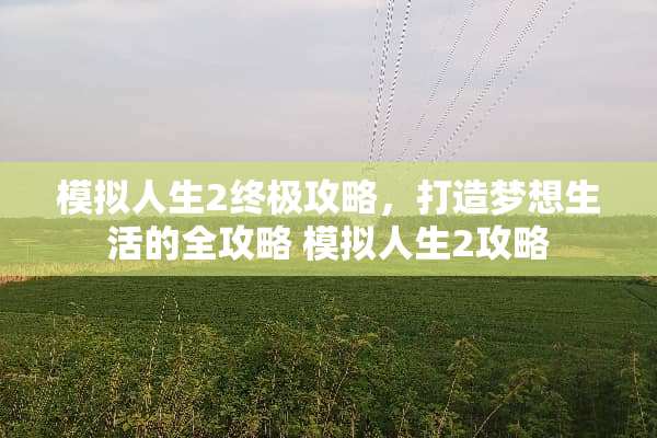 模拟人生2终极攻略，打造梦想生活的全攻略 模拟人生2攻略