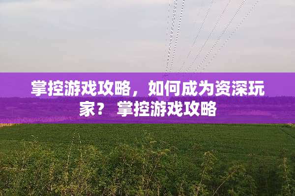 掌控游戏攻略，如何成为资深玩家？ 掌控游戏攻略