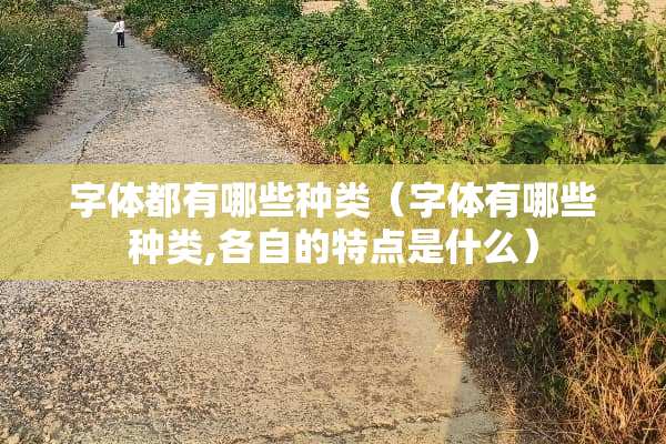 字体都有哪些种类（字体有哪些种类,各自的特点是什么）