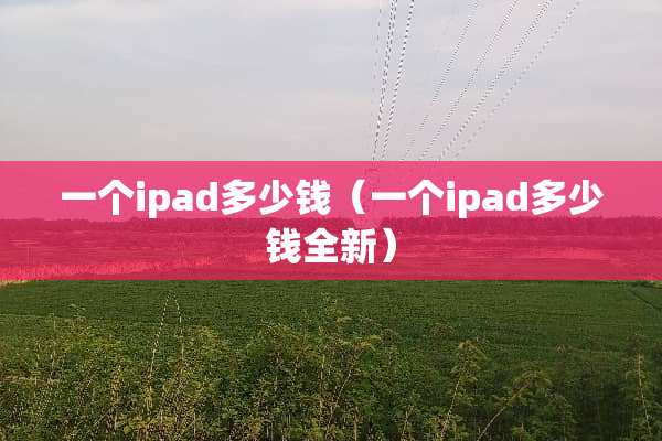一个ipad多少钱（一个ipad多少钱全新）
