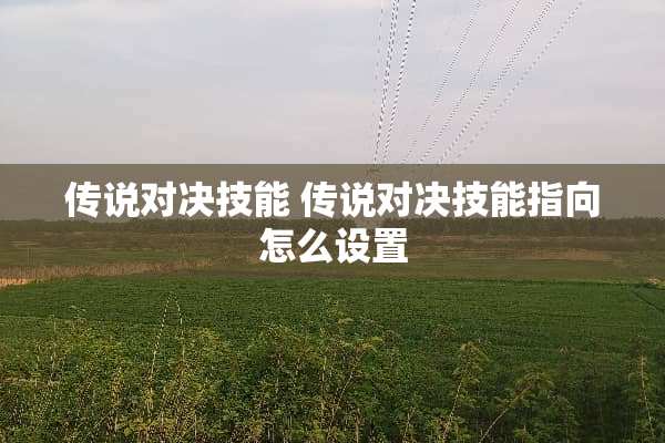 传说对决技能 传说对决技能指向怎么设置