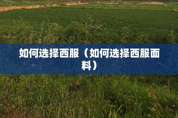 如何选择西服（如何选择西服面料）