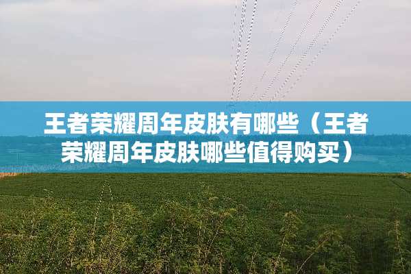 王者荣耀周年皮肤有哪些（王者荣耀周年皮肤哪些值得购买）