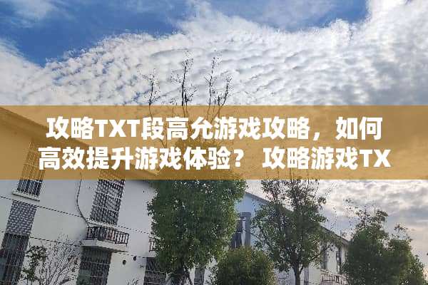 攻略TXT段高允游戏攻略，如何高效提升游戏体验？ 攻略游戏TXT段高允