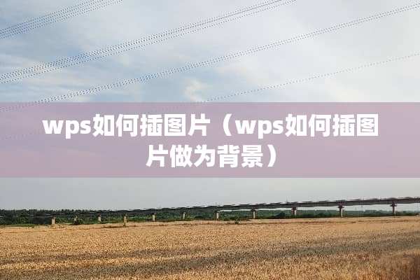 wps如何插图片（wps如何插图片做为背景）