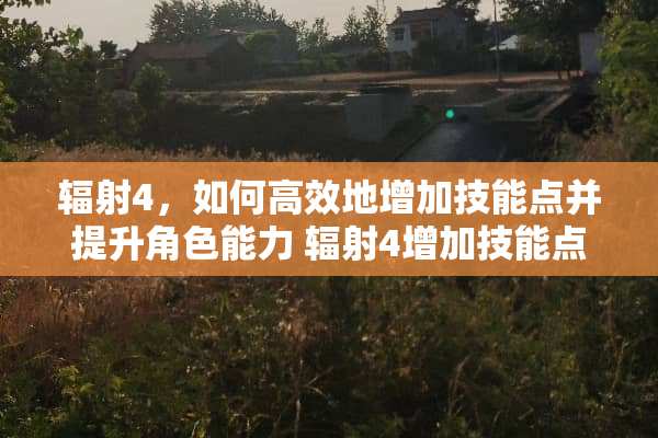 辐射4，如何高效地增加技能点并提升角色能力 辐射4增加技能点
