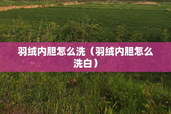羽绒内胆怎么洗（羽绒内胆怎么洗白）