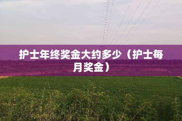 护士年终奖金大约多少（护士每月奖金）