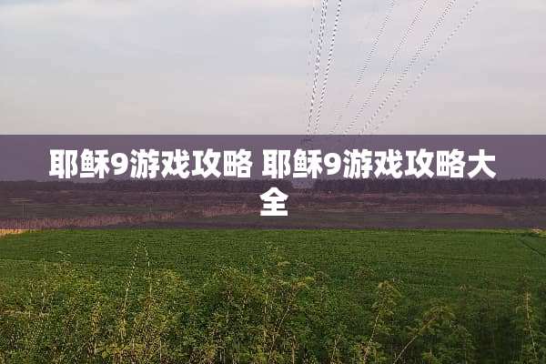 耶稣9游戏攻略 耶稣9游戏攻略大全