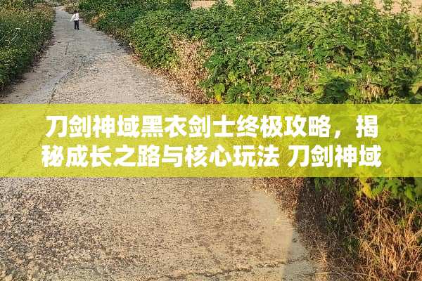 刀剑神域黑衣剑士终极攻略，揭秘成长之路与核心玩法 刀剑神域黑衣剑士攻略