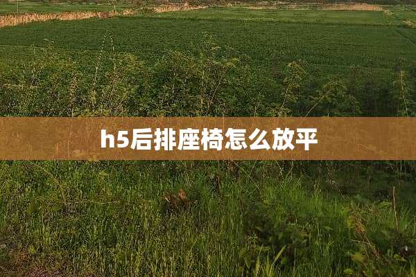 h5后排座椅怎么放平