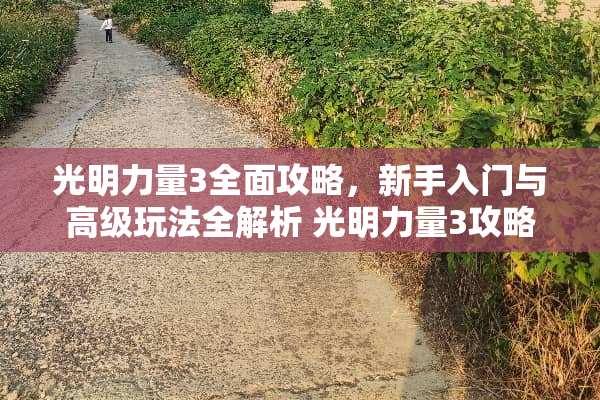 光明力量3全面攻略，新手入门与高级玩法全解析 光明力量3攻略