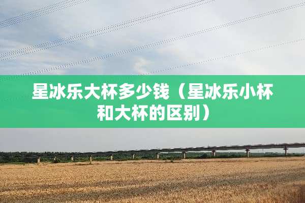 星冰乐大杯多少钱（星冰乐小杯和大杯的区别）