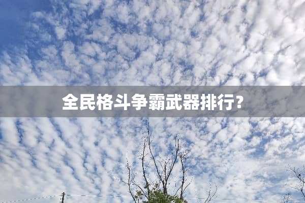 全民格斗争霸**排行？