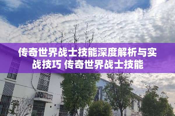 传奇世界战士技能深度解析与实战技巧 传奇世界战士技能