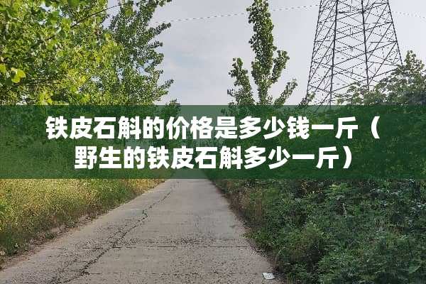 铁皮石斛的价格是多少钱一斤（野生的铁皮石斛多少一斤）