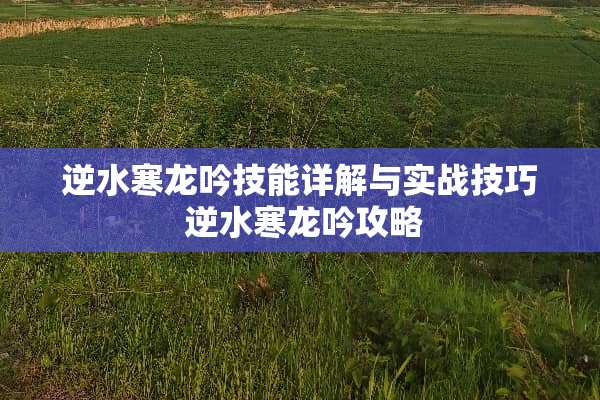 逆水寒龙吟技能详解与实战技巧 逆水寒龙吟攻略