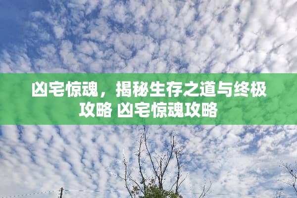 凶宅惊魂，揭秘生存之道与终极攻略 凶宅惊魂攻略