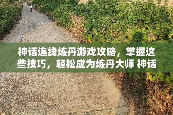 神话连线炼丹游戏攻略，掌握这些技巧，轻松成为炼丹大师 神话连线炼丹游戏攻略