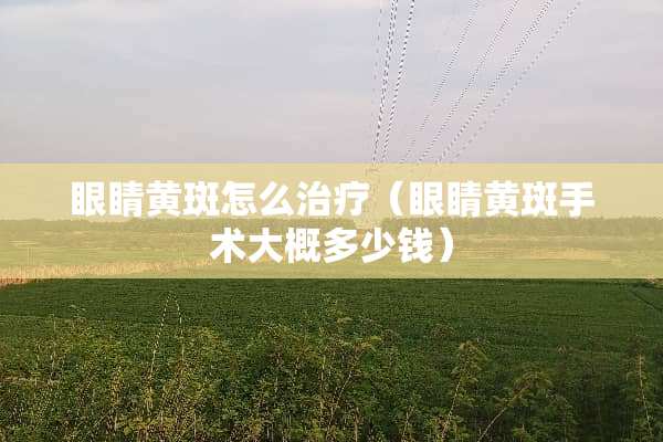眼睛黄斑怎么治疗（眼睛黄斑手术大概多少钱）