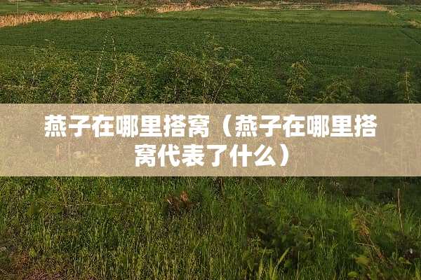 燕子在哪里搭窝（燕子在哪里搭窝代表了什么）