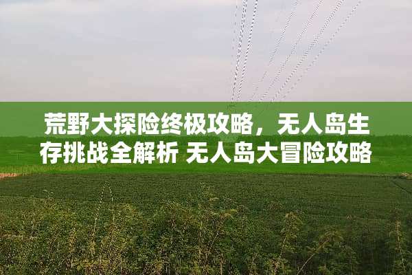 荒野大探险终极攻略，无人岛生存挑战全解析 无人岛大冒险攻略