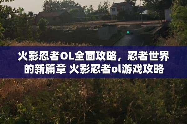 火影忍者OL全面攻略，忍者世界的新篇章 火影忍者ol游戏攻略