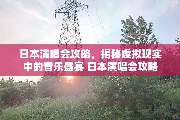 日本演唱会攻略，揭秘虚拟现实中的音乐盛宴 日本演唱会攻略