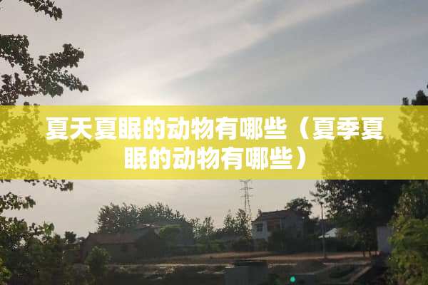夏天夏眠的动物有哪些（夏季夏眠的动物有哪些）