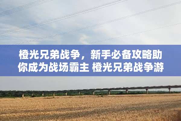 橙光兄弟战争，新手必备攻略助你成为战场霸主 橙光兄弟战争游戏攻略
