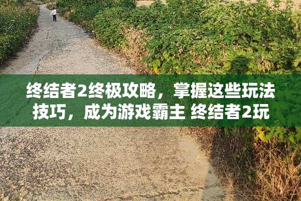 终结者2终极攻略，掌握这些玩法技巧，成为游戏霸主 终结者2玩法