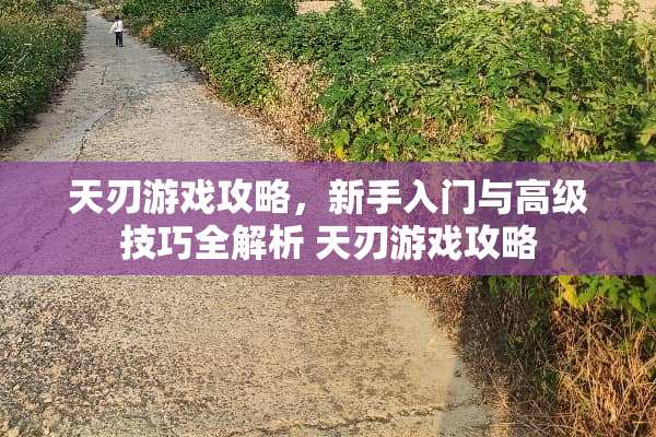 天刃游戏攻略，新手入门与高级技巧全解析 天刃游戏攻略