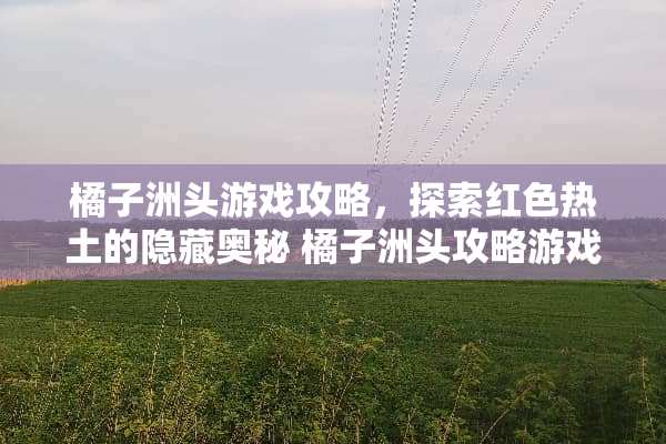 橘子洲头游戏攻略，探索红色热土的隐藏奥秘 橘子洲头攻略游戏