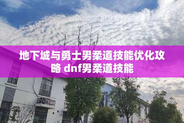 **城与勇士男柔道技能优化攻略 dnf男柔道技能