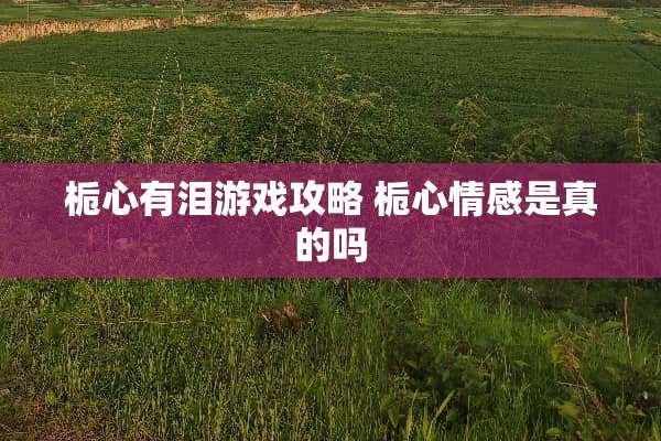 栀心有泪游戏攻略 栀心情感是真的吗