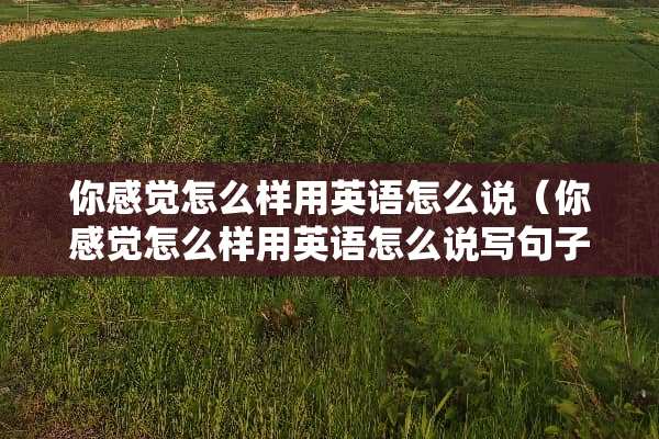 你感觉怎么样用英语怎么说（你感觉怎么样用英语怎么说写句子）