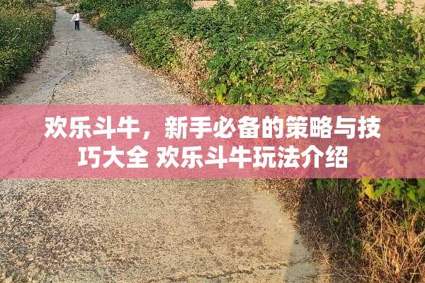 欢乐斗牛，新手必备的策略与技巧大全 欢乐斗牛玩法介绍