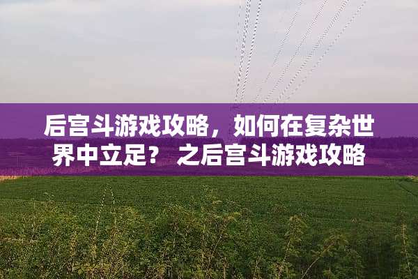 后宫斗游戏攻略，如何在复杂世界中立足？ 之后宫斗游戏攻略